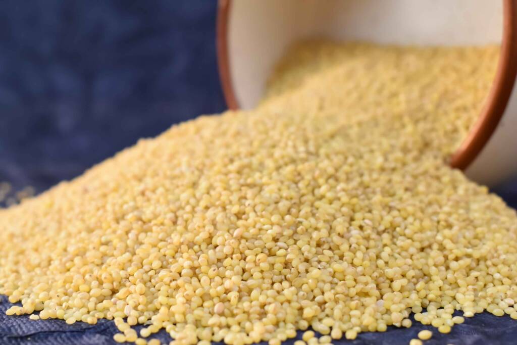 Millet